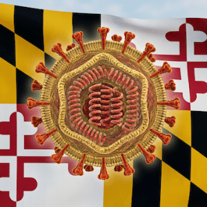 The image shows the Maryland state flag with a large, detailed illustration of a virus or viral particle superimposed in the center.