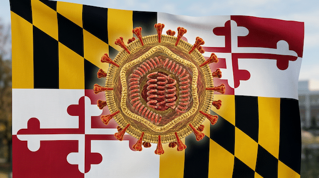 The image shows the Maryland state flag with a large, detailed illustration of a virus or viral particle superimposed in the center.