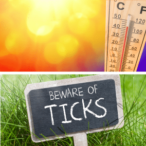 A thermometer shows high temperatures over blurred sunshine, and a chalkboard sign in grass reads Beware of Ticks, warning about the risks of ticks in warm weather.
