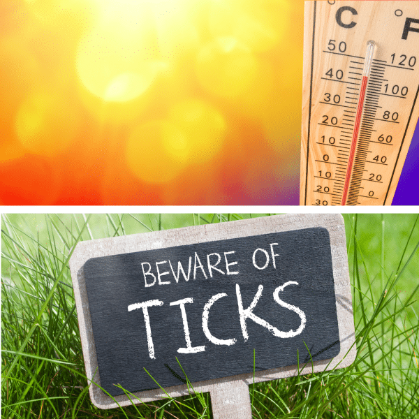 A thermometer shows high temperatures over blurred sunshine, and a chalkboard sign in grass reads Beware of Ticks, warning about the risks of ticks in warm weather.