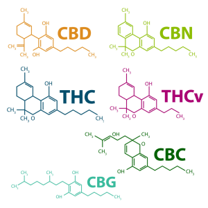 Six different cannabinoid chemical structures labeled: CBD, CBN, THC, THCV, CBC, and CBG, each in a distinct color. Structures show variations in rings and chains. White background.