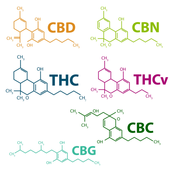 Six different cannabinoid chemical structures labeled: CBD, CBN, THC, THCV, CBC, and CBG, each in a distinct color. Structures show variations in rings and chains. White background.